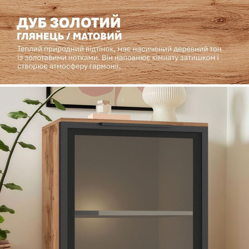 Cabinet with glass Flex 0.6 meters Glass Appalachian Oak for dishes - photo, price, buy,  