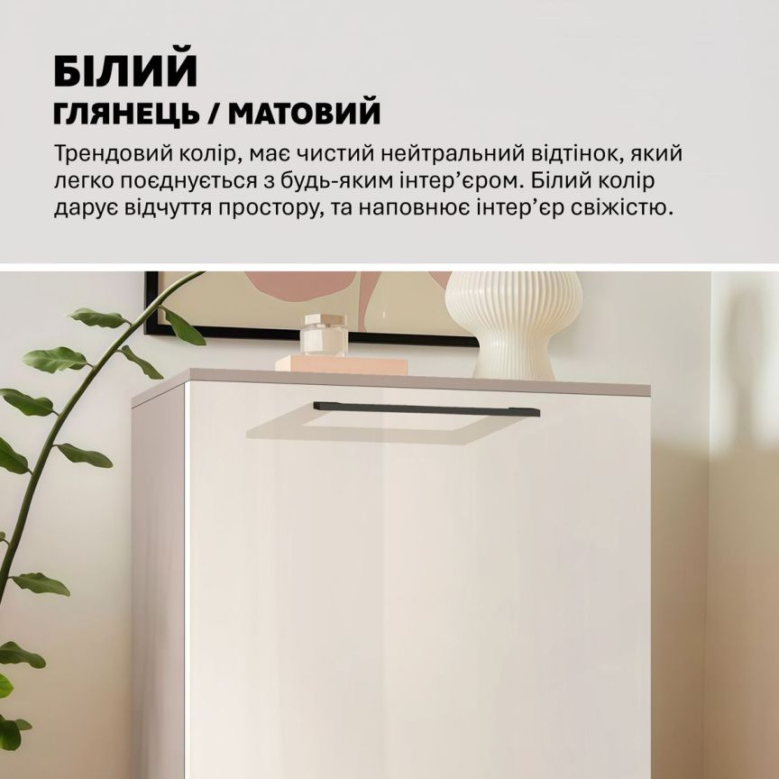 Custom-made cabinet Flex 0.5 meters chipboard facade White for shoes - photo, price, buy,  